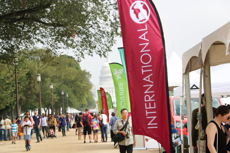 an array of custom printed feather flags for International Culture at a public gathering.