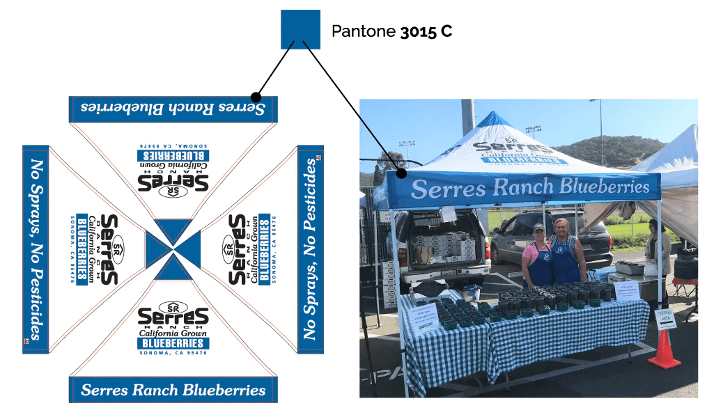 A custom farmers market tent in Pantone 3015 C, enhancing brand consistency for Serres Ranch Blueberries