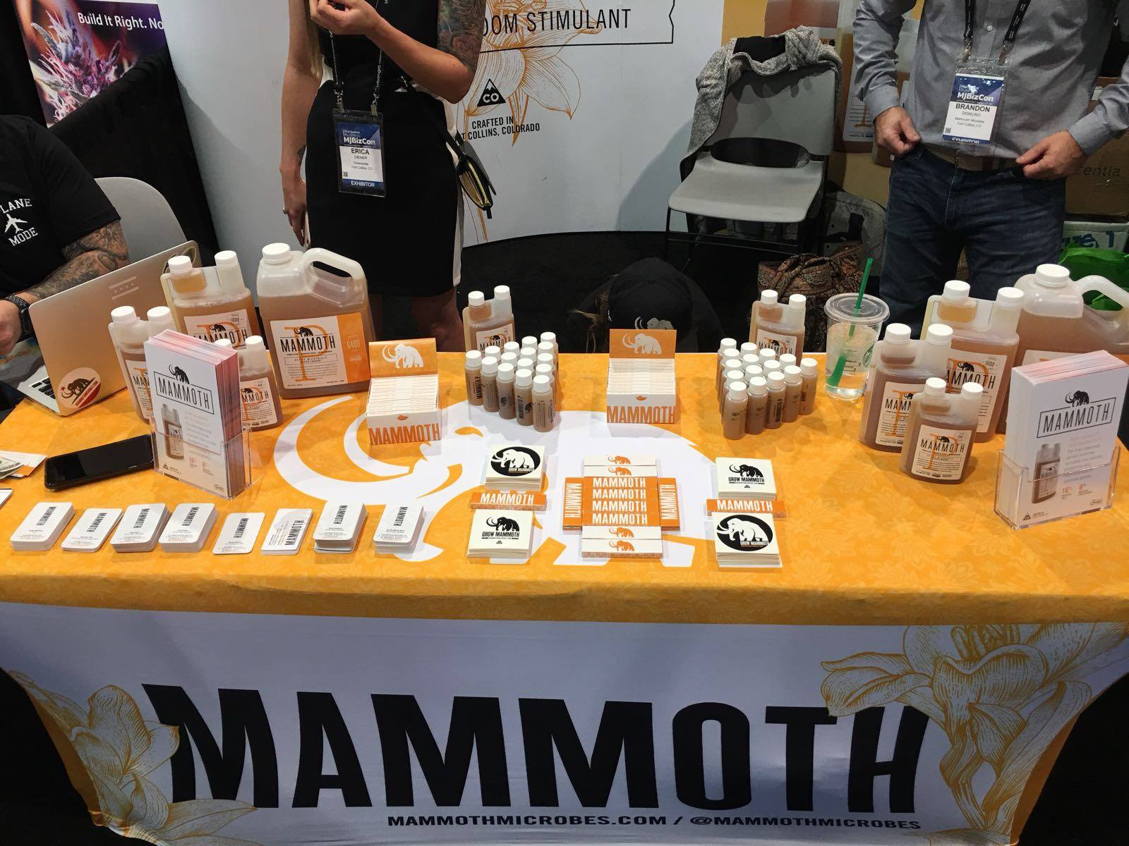 Mvp Visual 7 Vendor Table Display Ideas that Turn Heads | MVP Visuals