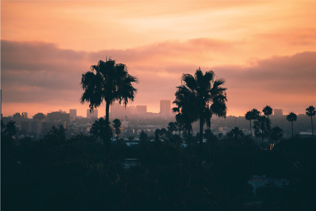 Visit California | Client Success Story