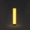 Inflatable Columns