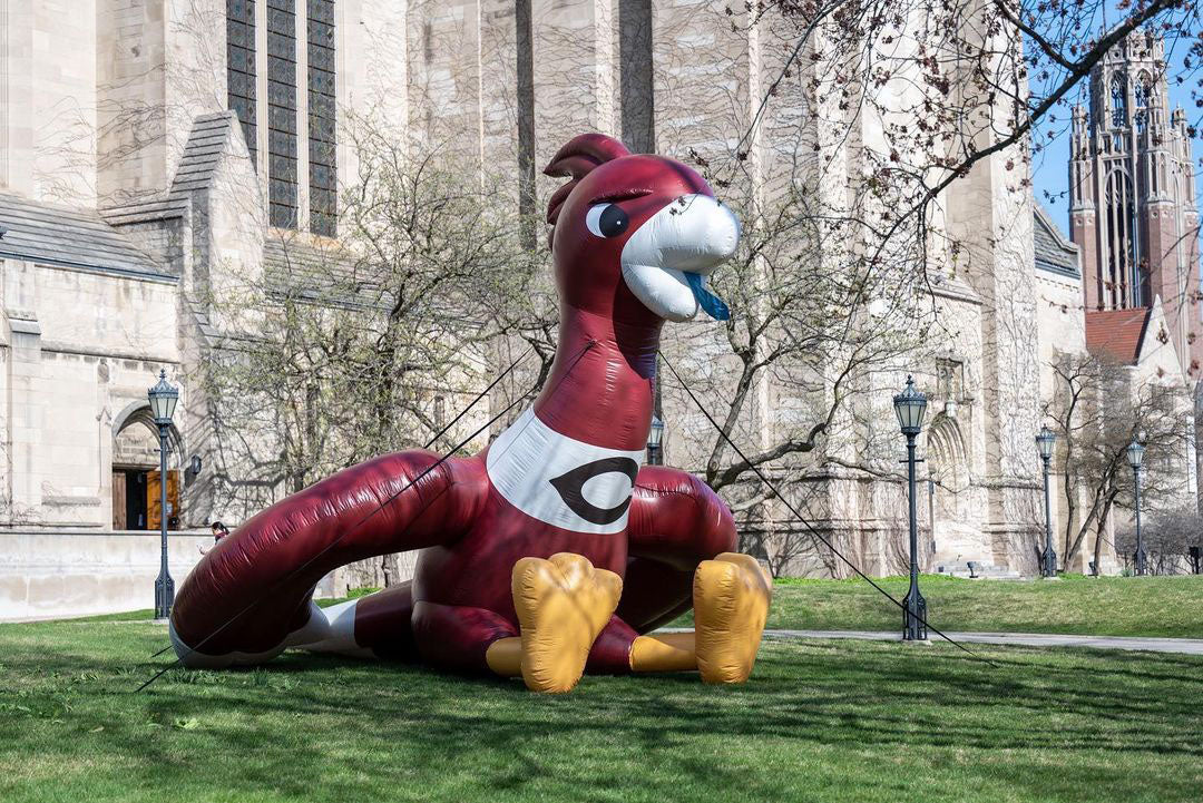 giant custom bird mascot inflatable for a school