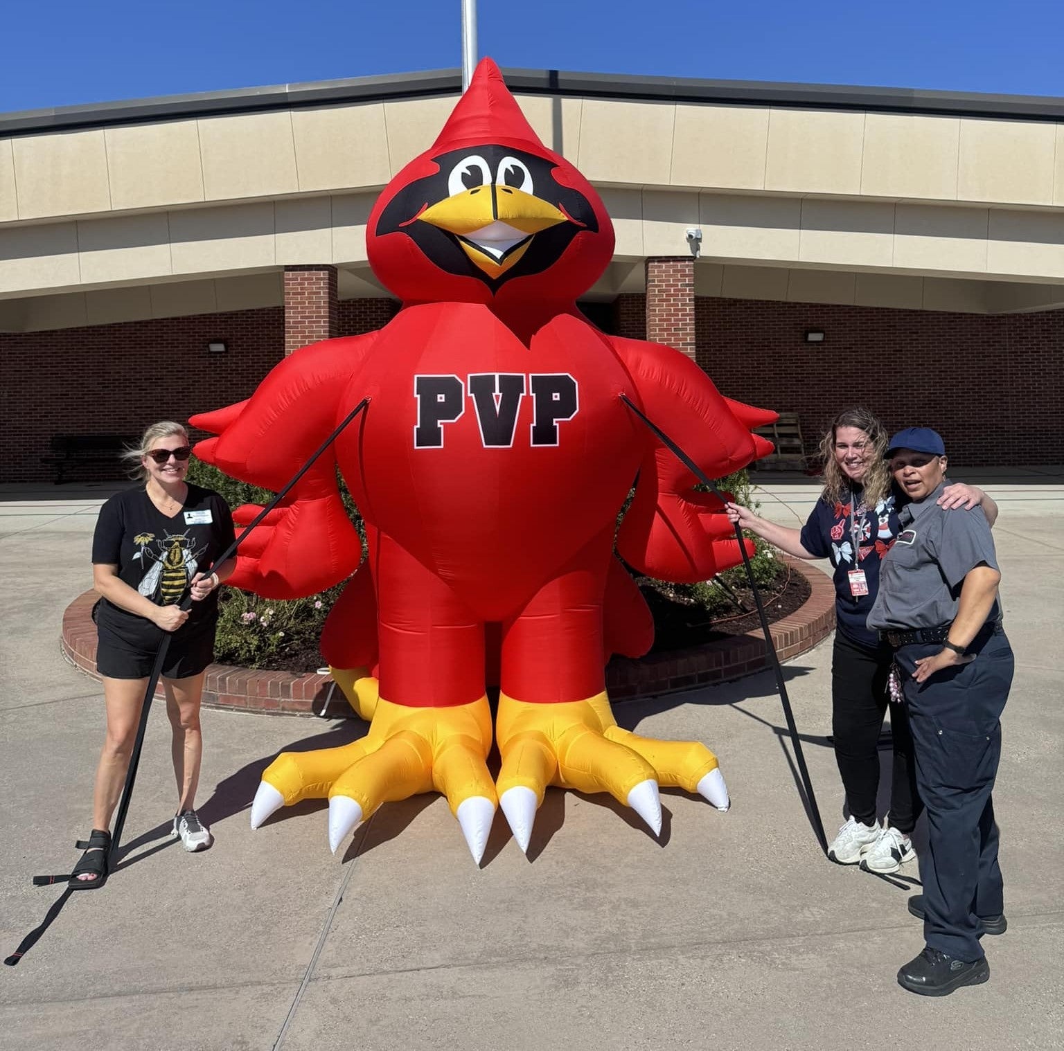 Custom inflatable character PVP bird