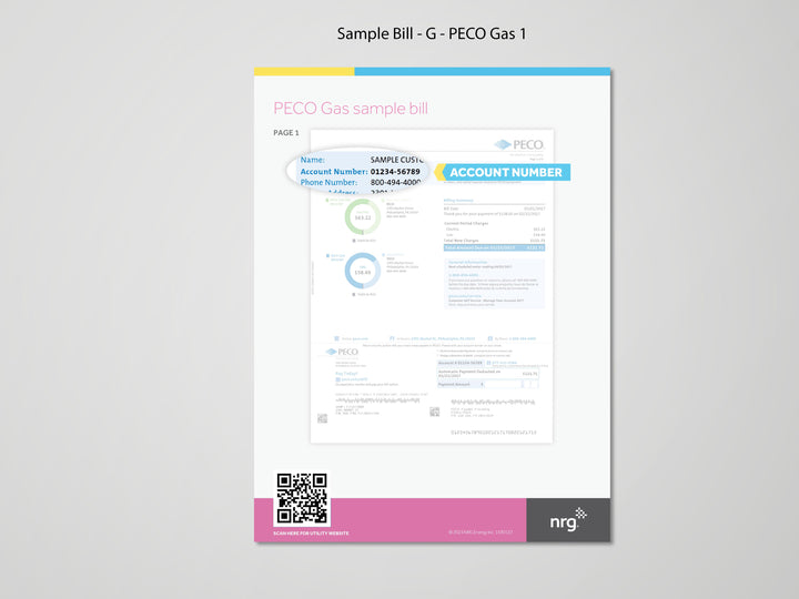 NRG Bill Samples