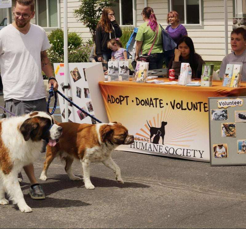 Custom spandex table cover for Spokane Humane Society at adoption and volunteer event with large dogs on leashes