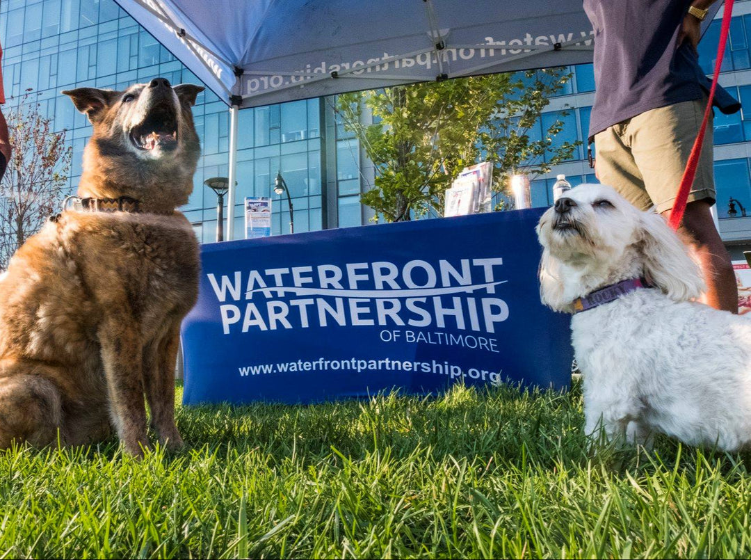 Custom Spandex table cover for Waterfront Partnership of Baltimore at outdoor community event with dogs on grass