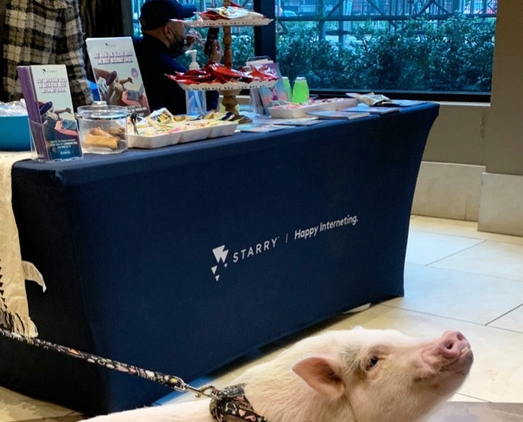 Custom spandex table cover for Starry internet booth with snacks and marketing materials beside a pet pig.