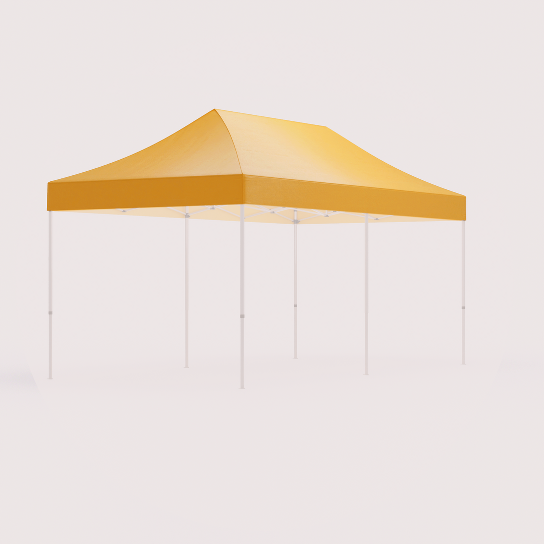 Canopy 10 x 20 best sale