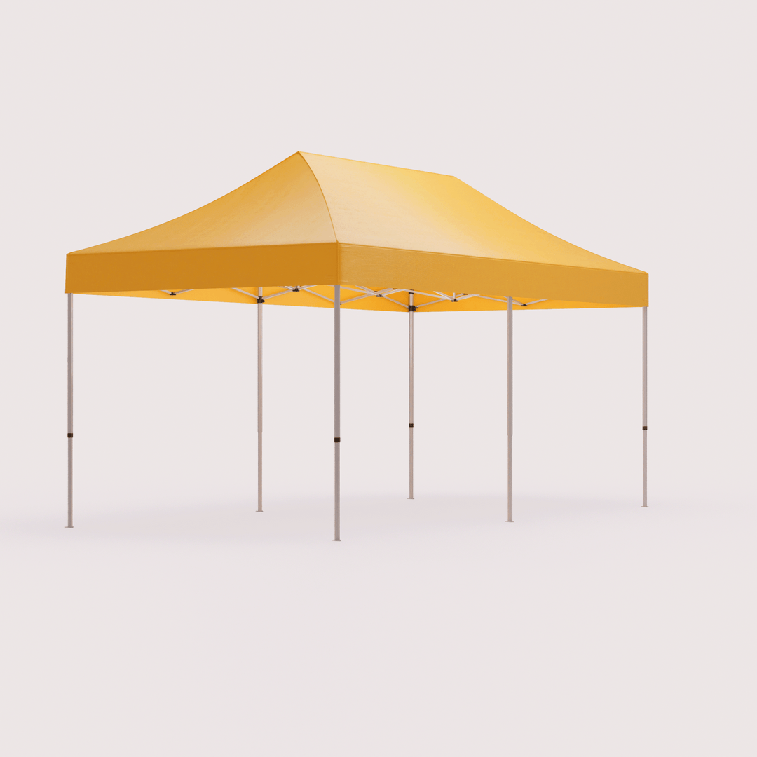 10 x 20 custom canopy tent from 45 degree angle