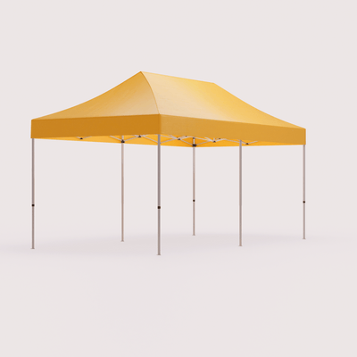Custom 10' x 20' Canopy Tents