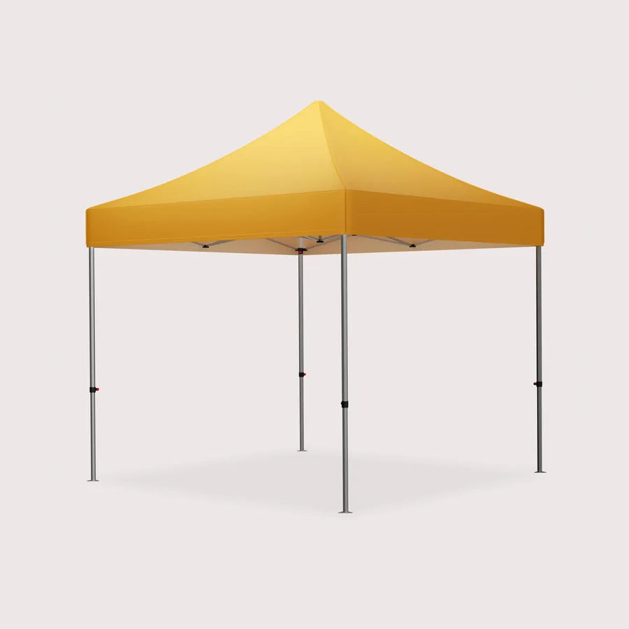 Printed 10 by 10 canopy with frame