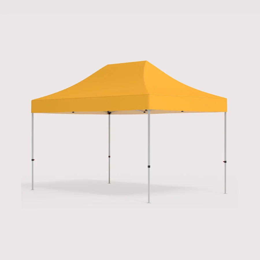 Printed 10 by 15 canopy with frame